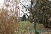 IMG_4156 - 