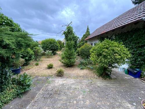 Ausblick von der Küche in den - 