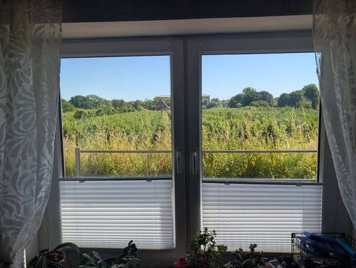 Blick aus dem Fenster - 