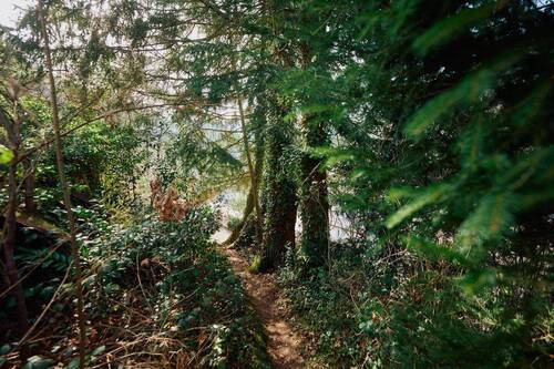 Gartenimpressionen - 