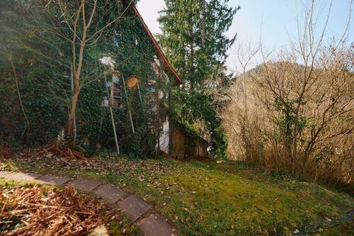 Gartenimpressionen - 