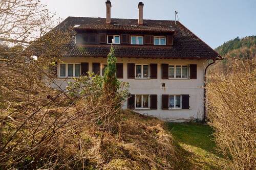 Objektansicht Wohnhaus - 1 Zimmer Mehrfamilienhaus, Wohnhaus zum Kaufen in Schramberg