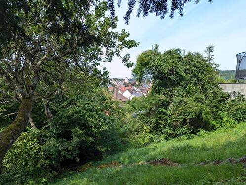 Blick vom Garten über Niefern - 