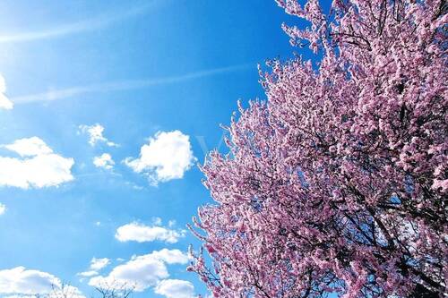 Umgebung - Ruhig und nur 600m zur S-Bahn Karow - bauträgerfreies Grundstück für Ihre Doppelhaushälfte!