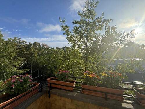 Picture from similar apartment - 