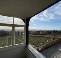 Wohnen und Leben in Radebeuls edelster Immobilie