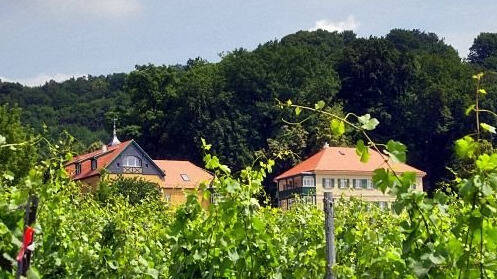 DSC_0993_4_5.jpg - Etagenwohnung mit 151,00 m&sup2; in Radebeul zur Miete