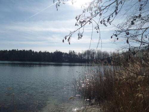 Rückersdorfer See I - 