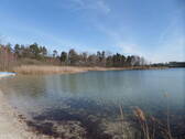 Rückersdorfer See II - 