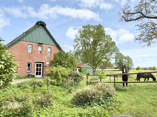 Außenansicht - Hier möchte ich Arbeiten - Vielseitig nutzbare Gewerbefläche im EG einer alten Reetdachkate