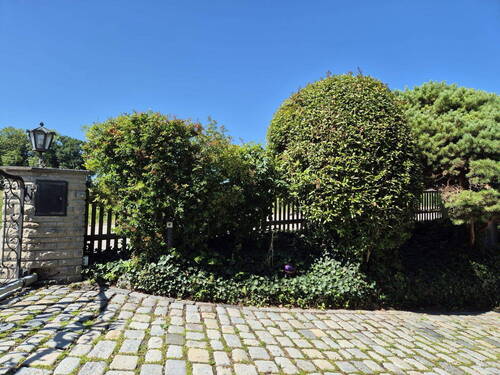 Bild 21 - 
