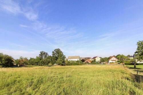 Grundstück Blick zur Straße - 