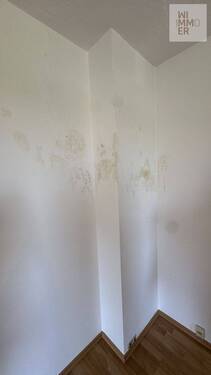 Östlicher Gebäudeteil OG - Kaminversottung:Stockflecken (1) - 