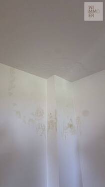 Östlicher Gebäudeteil OG - Kaminversottung:Stockflecken (2) - 