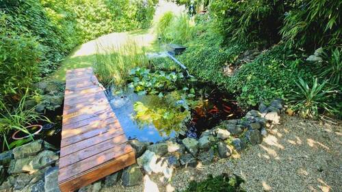 Teich im Garten - 