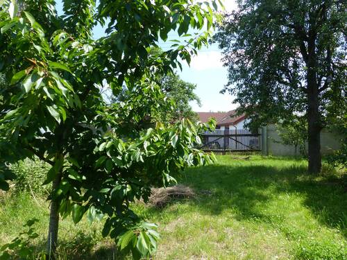 Garten - 6 Zimmer Bauernhaus, Landhaus zum Kaufen in Oschatz OT Zöschau