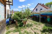 Garten und Obstanbau - 