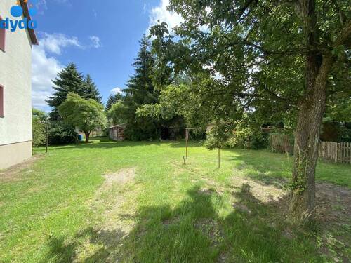 Gemeinschaftsgarten - 