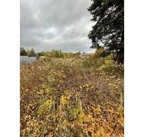 Entwicklungsgrundstück mit B-Plan im Berliner Speckgürtel - Zehdenick