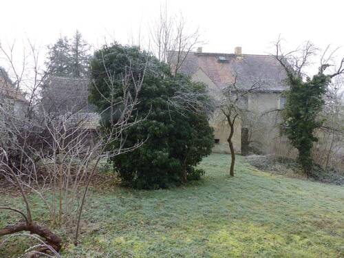 Garten - 5 Zimmer Einfamilienhaus zum Kaufen in Ochsensaal