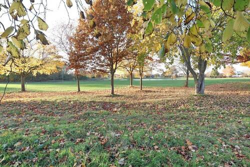 Blick Richtung Golfplatz - 