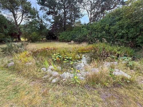 Gartenteich - 