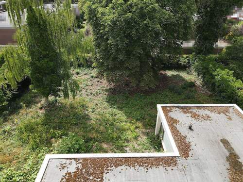 Ansicht Gartengrundstück - Grundstück in Hamburg / Sasel zum Kaufen