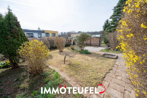 Blick in den Garten - 