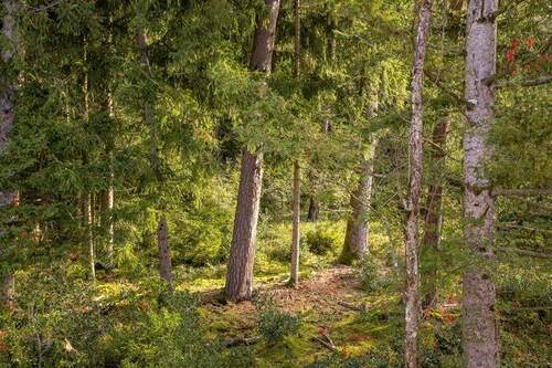 Bild 9 - 