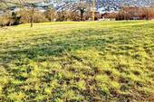 Offene Grünfläche  Vorderer Bereich des Grundstücks - Grundstück zum Kaufen in Marbach am Neckar