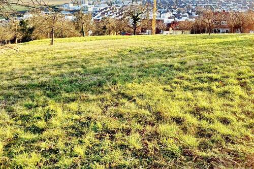 Offene Grünfläche  Vorderer Bereich des Grundstücks - Grundstück zum Kaufen in Marbach am Neckar