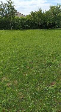 5a89ce2a-639e-4b7b-8363-2f3c8e82e637_kopie.jpg - Bauplatz in Bergtheim, OT - 170.000,00 EUR Kaufpreis, ca.  0,00 m²