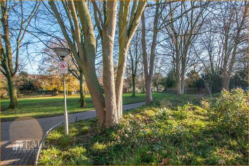 Park hinter dem Haus - 