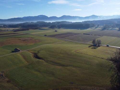 Grundstück - Großes, landwirtschaftliches Grundstück mit vielseitigen Nutzungsmöglichkeiten in Traumlage!