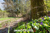Waldweg - 
