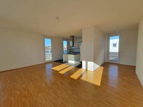 IMG-20251113-WA0031.jpg - 