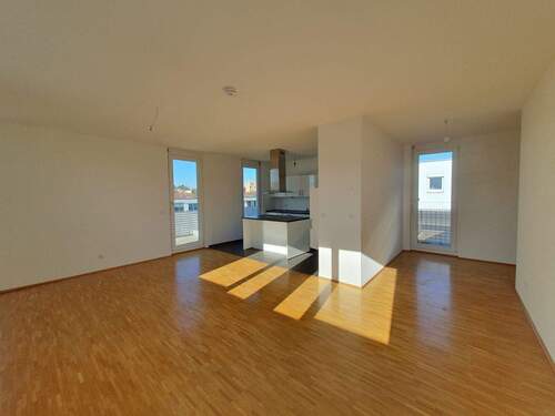 IMG-20251113-WA0028.jpg - 