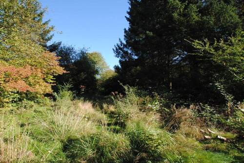 Das Grundstück aus einer anderen Perspektive - 