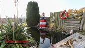 Teich - 