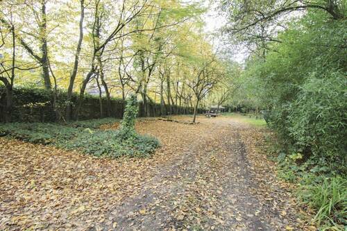 Ingesamt runden ca. 60 Stellplätze das Ensemble ab - 