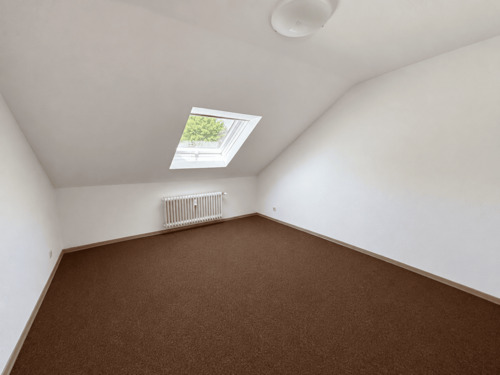 Zimmer DG - 