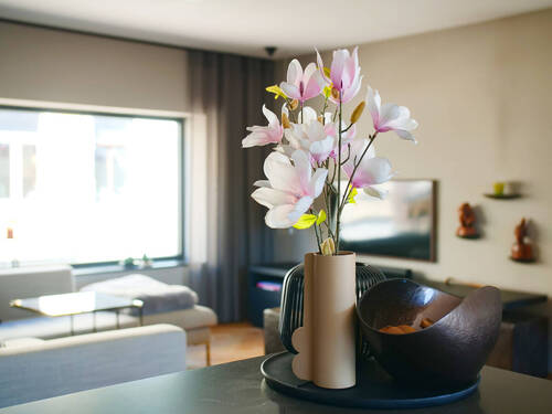 Wohnecke - 7 Zimmer Mehrfamilienhaus, Wohnhaus in Vaals