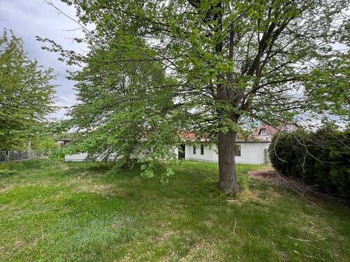 Grundstück - 5 Zimmer Einfamilienhaus in Radeberg / Ullersdorf bei Radeberg