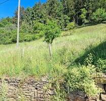 Baugrundstück Ortslage Schmittweiler + Erholungsflächen in Schmittweiler und Raumbach zu verkaufen