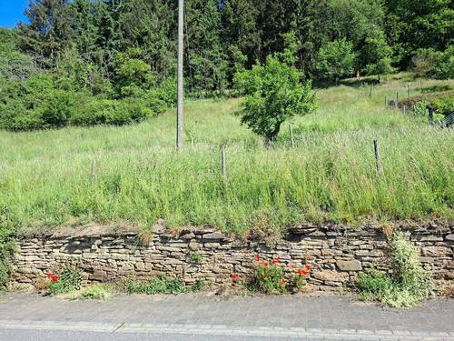 Bauplatz - Grundstück zum Kaufen in Schmittweiler