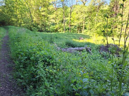 Wiesengrundstücke - 