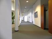 Flur - Büro mit 586,00 m&sup2; in Bad Homburg zur Miete