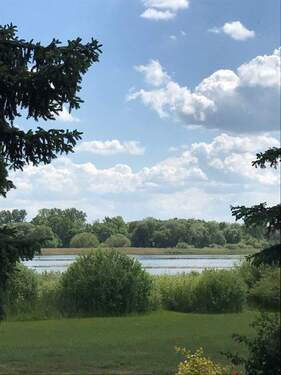 Blick auf den Beetzsee - idyllische Natur pur - 