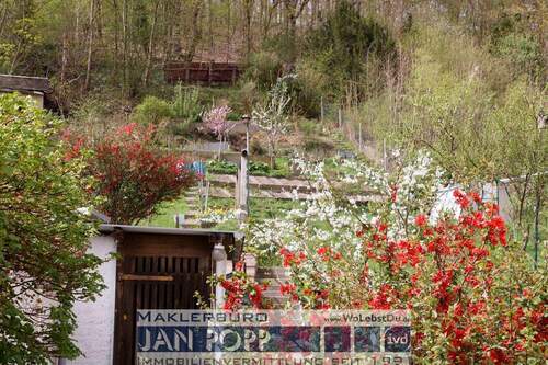 Garten im April - 