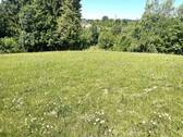 20260518_090941138_iOS.jpg - 1.750 m² Wohnbaufläche inmitten von 14.646 m² Wiesengrund
